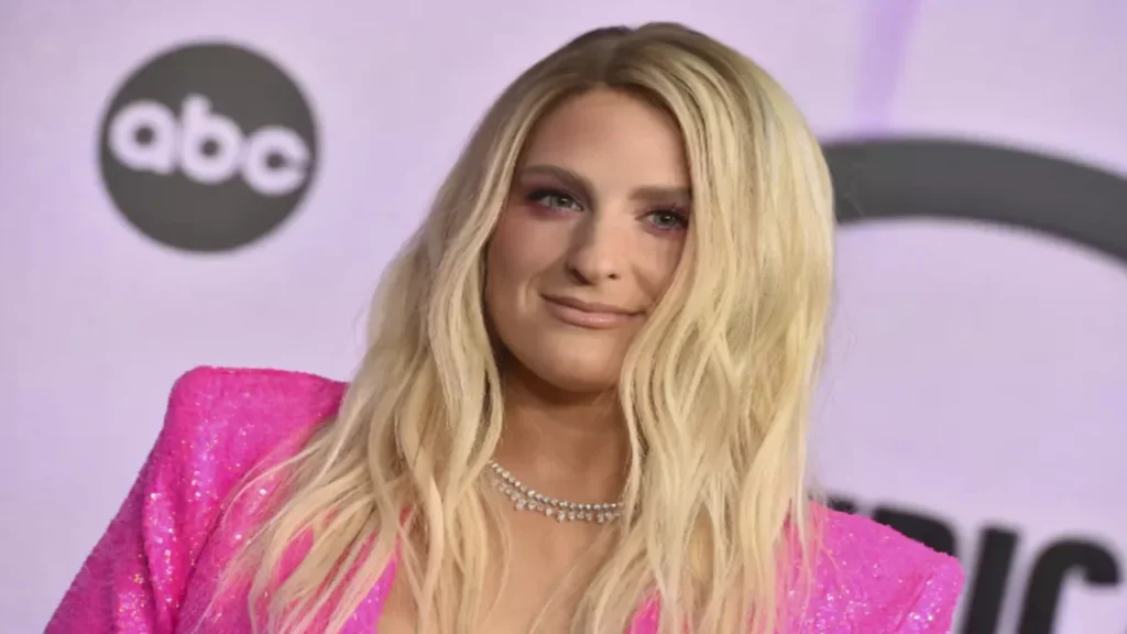 Meghan Trainor's Financial Growth Over the Years