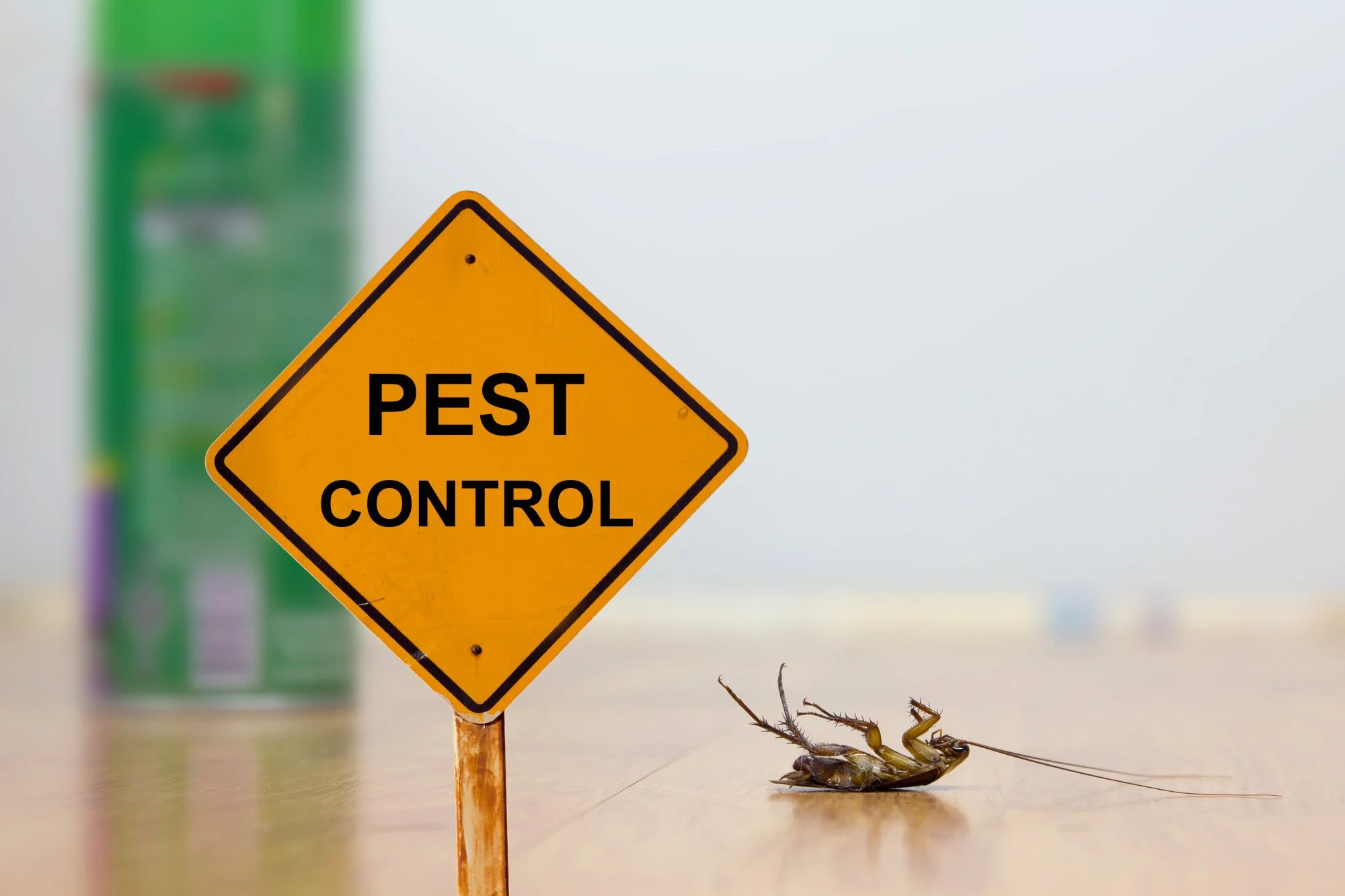 How to Choose the Right Pest Control Specialists for Your Business