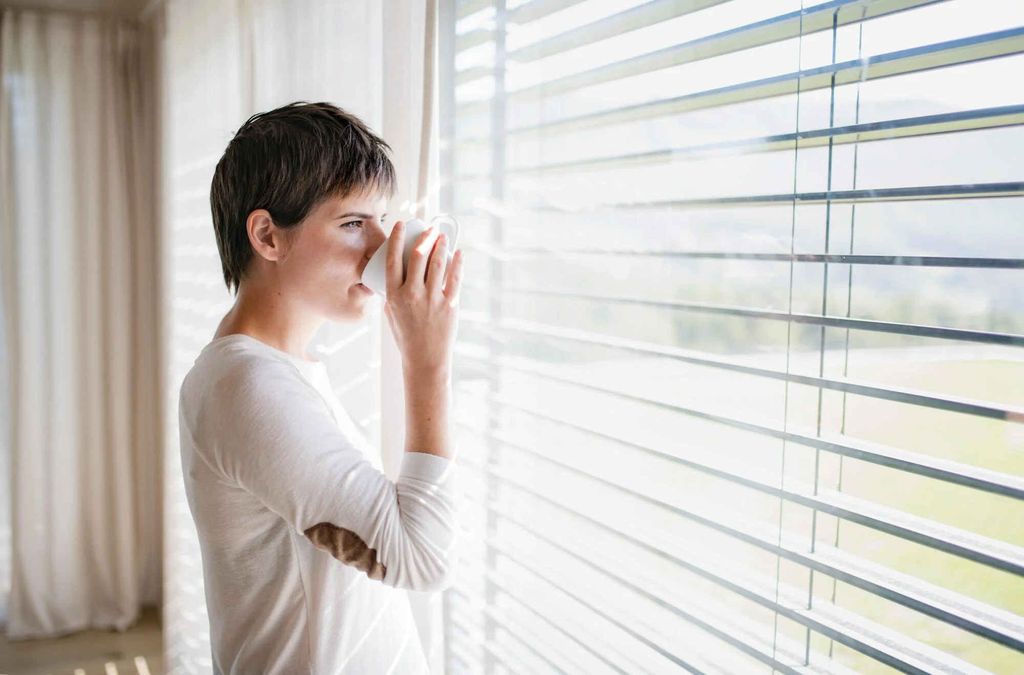 11 Stylish Blinds Options for Your Living Room Windows